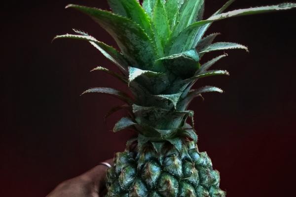 梦到了从房顶跳下来的预兆 梦到了从房顶跳下来的预兆