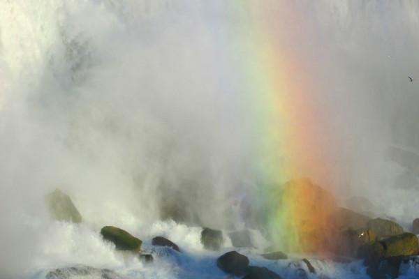 梦见下套有什么预示吗 梦见下套有什么预示吗