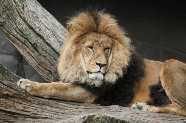 梦到下雨淹了是什么意思 梦到下雨淹了是什么意思