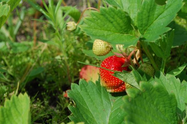 梦到了别人给我要账是什么预兆 梦到了别人给我要账是什么预兆