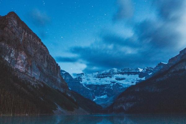 梦到摇树会是什么预兆