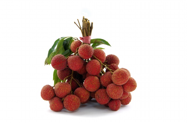 梦到白色猴子有什么预示吗 梦到白色猴子有什么预示吗