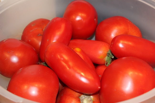 79属羊47岁会遇上真爱吗 79属羊47岁会遇上真爱吗