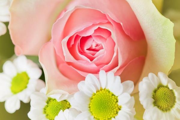 属猴女不能穿的颜色