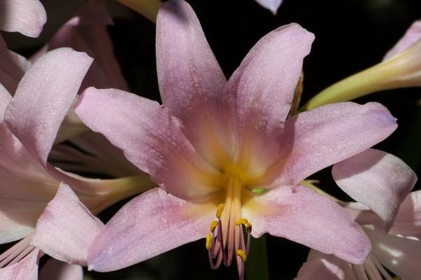 82年狗多大遇真爱 82年狗多大遇真爱