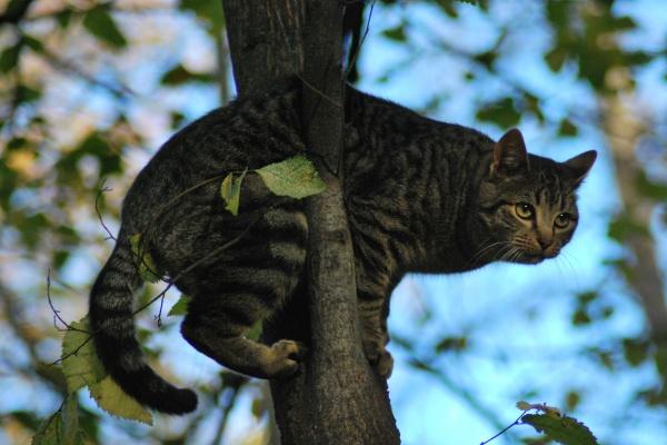 2026谁会陷害属兔人，2026生肖兔背后的小人是谁