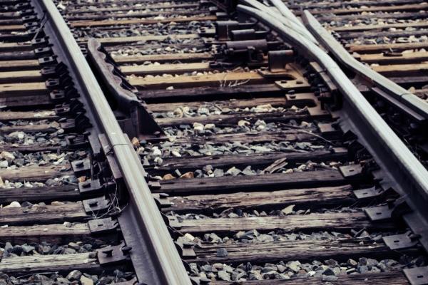 属狗人的运气婚姻一生概述