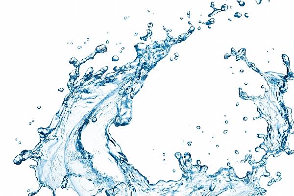 非常记仇的生肖女