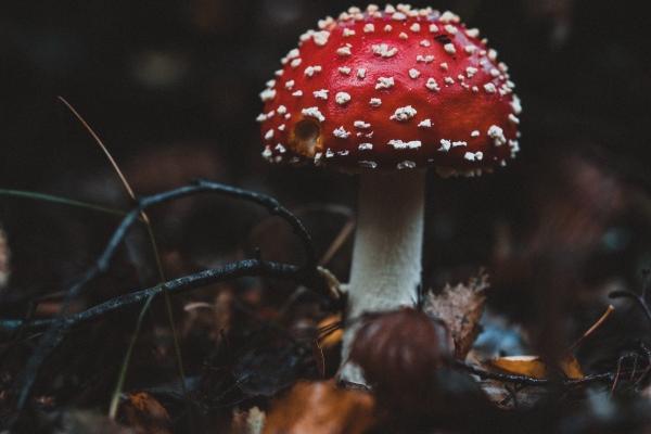 梦见坐火车过站是好的征兆吗 梦见坐火车过站是好的征兆吗