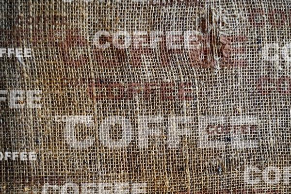 2025年属龙大忌的方向,属龙不能去什么方向 2025年属龙大忌的方向,属龙不能去什么方向