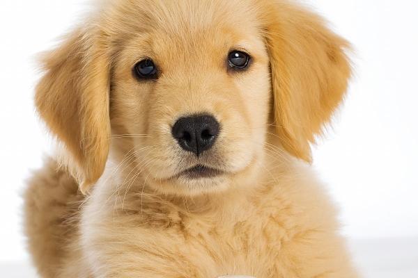 2026属鼠人戴什么最旺