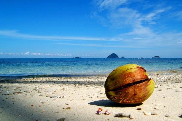 2026属虎人躲不掉的事