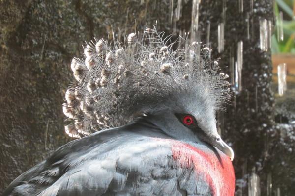 2025年属兔大忌的方向，属兔不能去什么方向