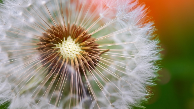 属狗人最旺的方位，属狗的永久性发财方向