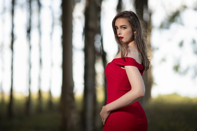 2025年属猪大忌的方向，属猪不能进哪些方向