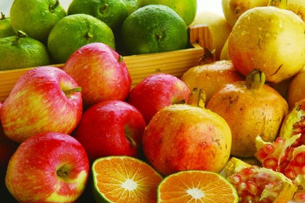 84属鼠最落魄的年龄