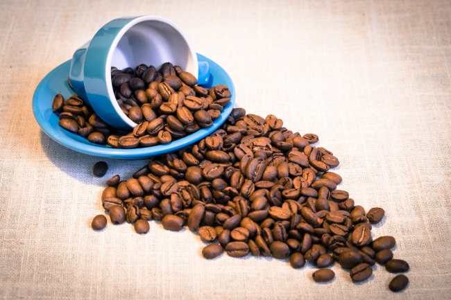 属狗女最后的丈夫到底是谁 属狗女最后的丈夫到底是谁