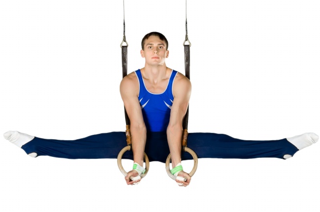 2026生肖羊双喜临门 2026生肖羊双喜临门