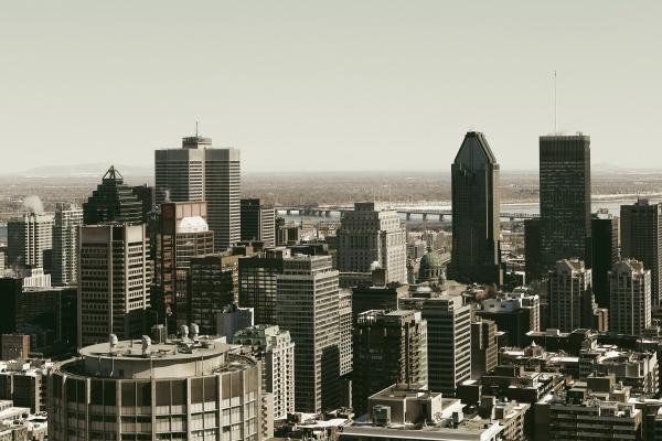 九紫离火运不利属相