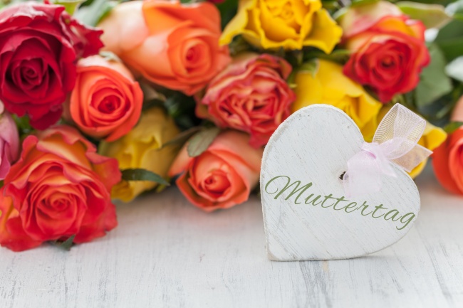 属蛇2026年幸运色和忌色,属蛇2026年的衰旺颜色 属蛇2026年幸运色和忌色,属蛇2026年的衰旺颜色