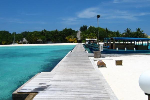 2026年属牛大灾已过了吗