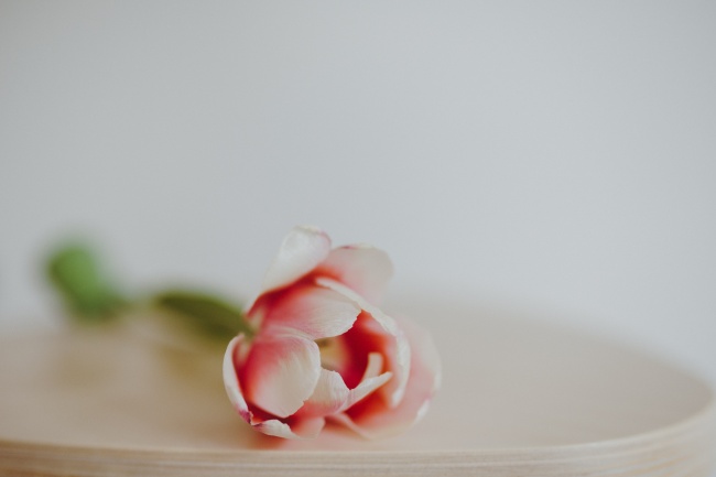 梦到豆奶粉是啥意思 梦到豆奶粉是啥意思