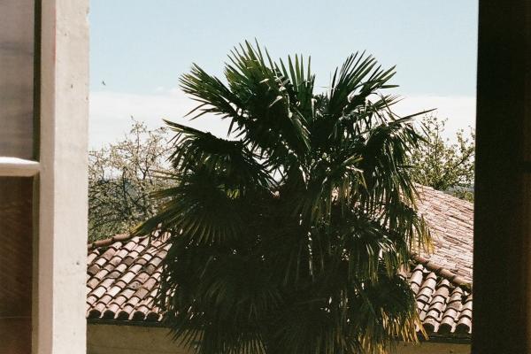 2026年属羊人佩戴哪些最旺财