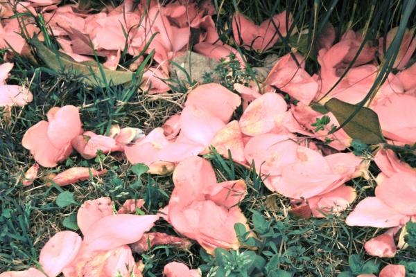 属马人2025年后半年运势，属马今年下半年运气怎样