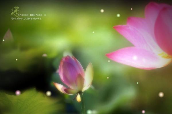 梦到了爬山掉下去意味着什么 梦到了爬山掉下去意味着什么