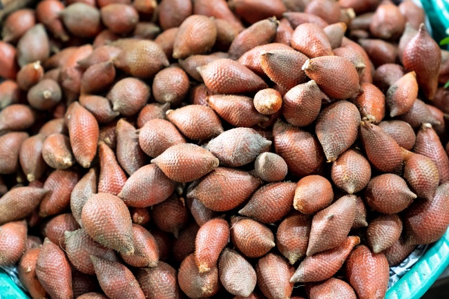 2026年属鸡大灾已过了吗