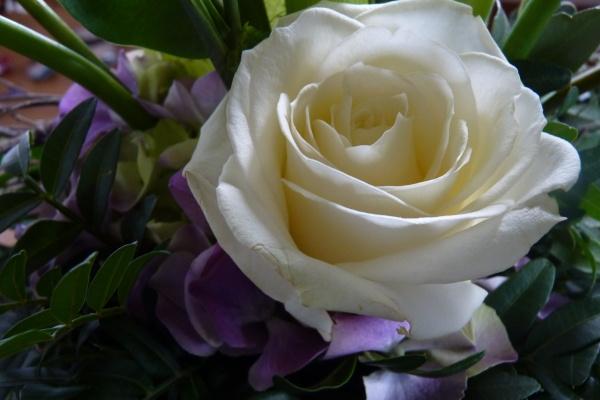 梦到小娃儿代表着什么? 梦到小娃儿代表着什么?