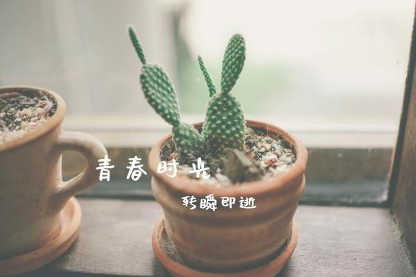 夜梦和稀泥：泥泞梦境中的吉凶征兆与玄学解读