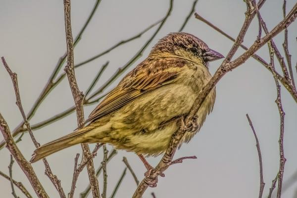 属兔人2026年逢考必过吗，属兔人2026年考试运怎样