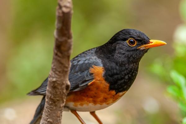 73年属牛女人会离婚吗
