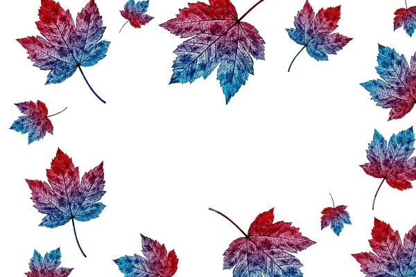 属牛人翻身之时是哪一年