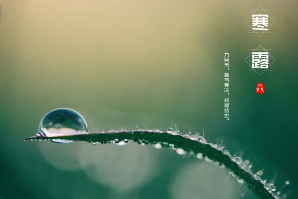 梦到亲戚家做客是什么预兆? 梦到亲戚家做客是什么预兆?