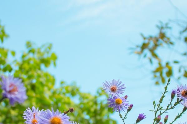 92年猴婚姻最后归宿