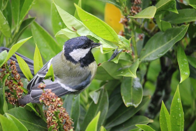 属龙的买房最好楼层和方位