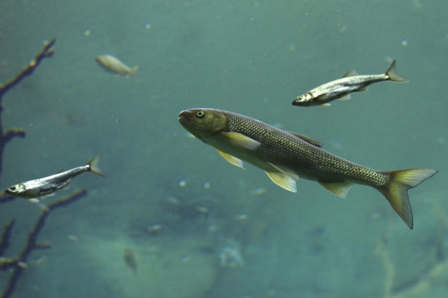 04女猴的正缘桃花到底是谁