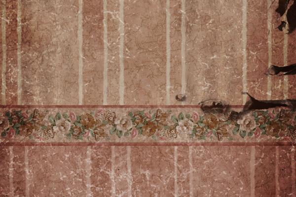 属兔的买房最好楼层和方位 属兔的买房最好楼层和方位