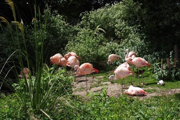 72岁属马有灾难吗 72岁属马有灾难吗