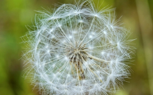 73年牛是苦牛或是富牛 73年牛是苦牛或是富牛