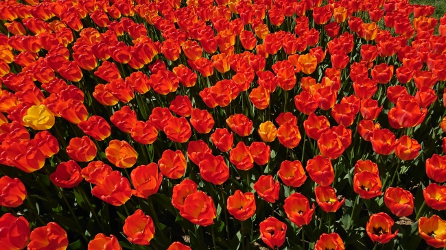 梦见媳妇回来了预示什么