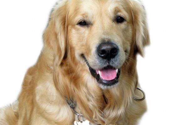 梦到承认预示了什么