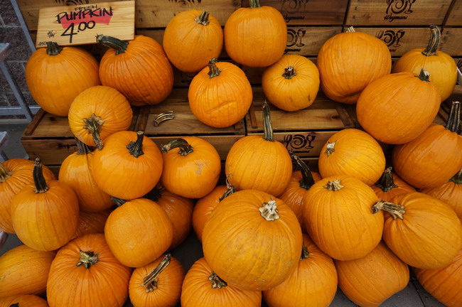 96年属鼠人一生婚姻运势发展