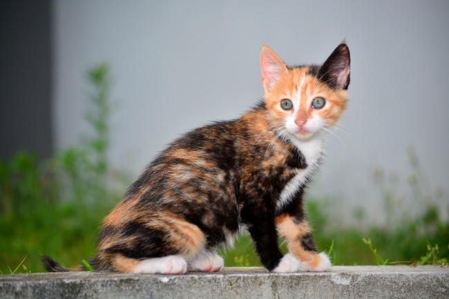 1997年买房最好楼层和方位