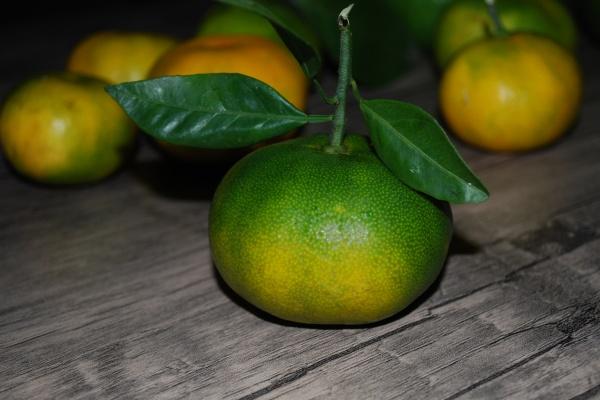 梦见手机来电是什么预兆