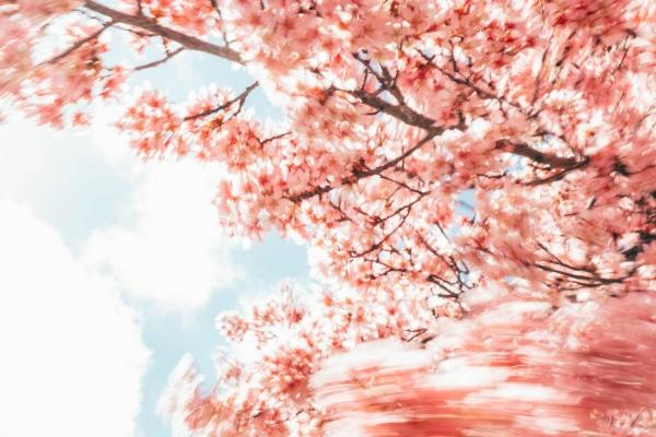 手机遗失梦境的深层命理解析:从五行到人伦的吉凶启示 手机遗失梦境的深层命理解析:从五行到人伦的吉凶启示