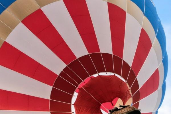 属相猪2026年运势吉凶怎样