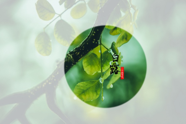 属相蛇2026年会遇见什么灾难